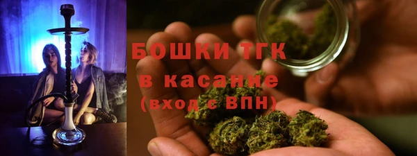 прущие грибы Алексин