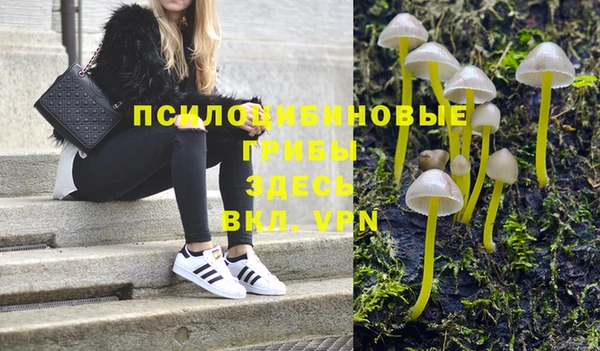 прущие грибы Алексин