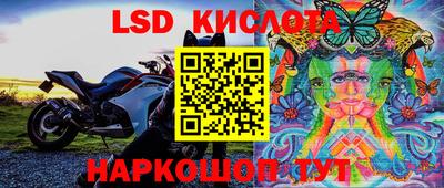 МДПВ Камышлов
