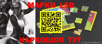 МДПВ Камышлов