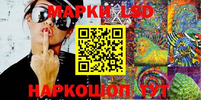 МДПВ Камышлов