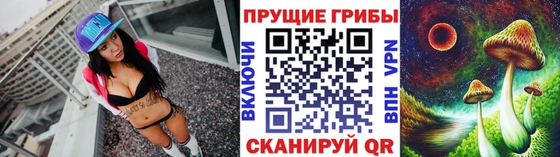 Галлюциногенные грибы прущие грибы  Кострома 