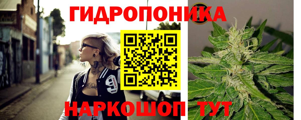 Кострома  Бошки Шишки сатива  Конопля Amnesia  Вход с VPN  Бошки Шишки OG Kush 